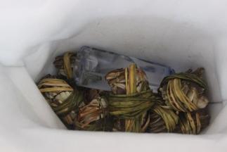 打开箱子是保鲜袋，里面有冰水，看到了新鲜的大闸蟹。