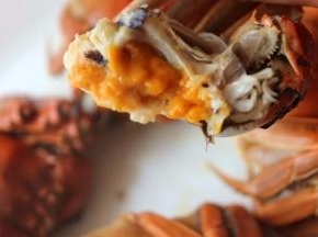 均匀的体型，馋了嘛。。。