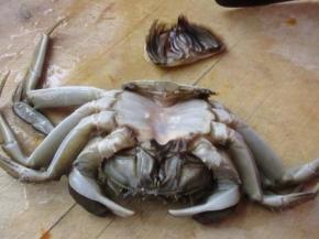 去掉大闸蟹的盖掩部分。