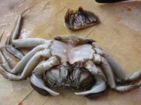 去掉大闸蟹的盖掩部分。