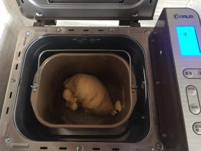 两个揉面程序结束后放入黄油和食盐，再启动一个揉面程序