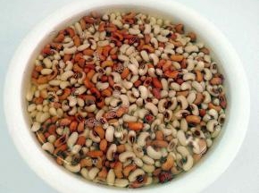 芸豆浸泡20个小时