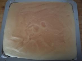 出炉，上色很均，可以看到蛋糕上色很均匀。匀，颜色很漂亮。连带烤纸一起拉出烤盘，揭开四周烤网晾凉。