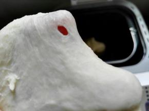 加入主料中软化后的黄油， 继续揉面15分钟左右， 程序结束后检查面团，可以拉出厚而富有弹性的膜