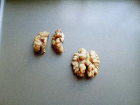 核桃，我买的人家剥好的，将一个核桃仁掰4瓣，如图。(如果红枣大的话，核桃不掰开也可以，我的红枣小，所以掰开了。)
