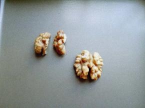 核桃，我买的人家剥好的，将一个核桃仁掰4瓣，如图。(如果红枣大的话，核桃不掰开也可以，我的红枣小，所以掰开了。)