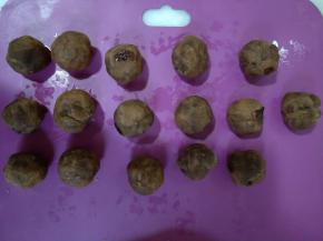 樱桃黄金酥馅分成16份，每份10克，滚圆。