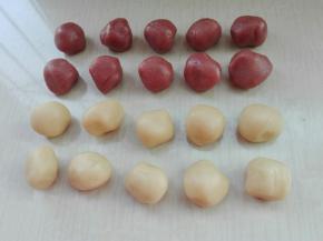 将红色油酥同原色油酥各等分10份