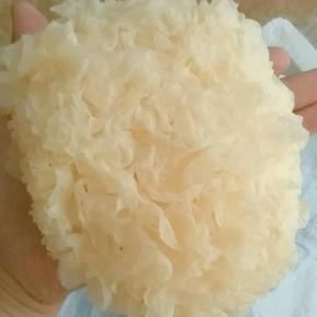 新鲜的银耳有一股子淡淡的花香