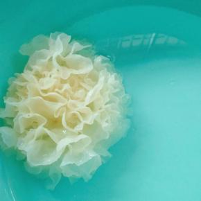 不用搓洗，只需放入清水之中浸泡一会，就饱满灿烂了，换水充分浸泡清洗