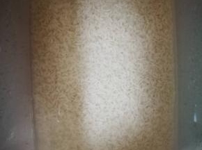 提前一天，洗净糯米浸泡一晚