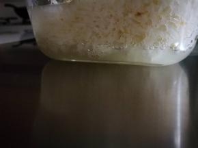 我捂了3天，就好了，看，出的酒，可甜了