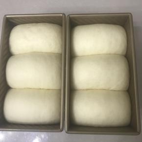 送进简易发酵箱，里面放上一碗55 度左右的热水保湿，温度调节在36 度，发酵9 分满。