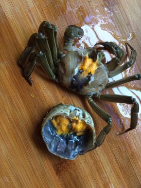 用刷子刷干净去底部去壳去腮