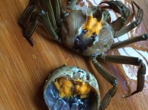 用刷子刷干净去底部去壳去腮