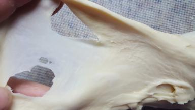 2.面包的所有材料除黄油外，都混合均匀，揉至面团的扩展阶段。