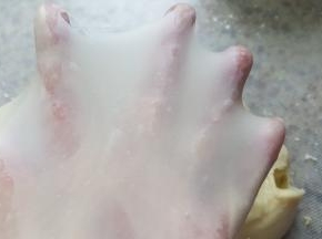 4.揉至面团的完全扩展阶段，可以拉出薄有弹性的膜。