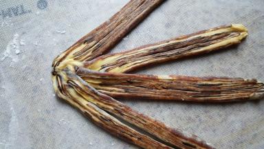 16.将4条的头部相连。