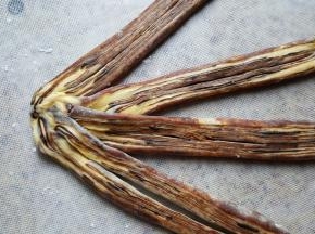 16.将4条的头部相连。