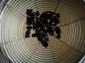 滤网滤水，下面一层细沙