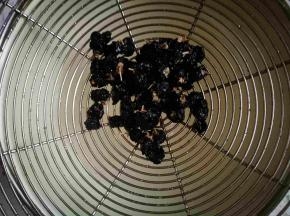 滤网滤水，下面一层细沙