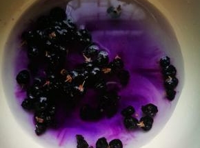 再倒些水，将黑枸杞浸泡起来，用筷子搅搅，让它静置