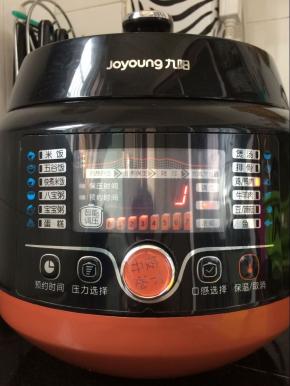 盖上盖子，调到炖鸡键就可以了。