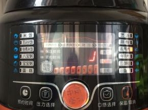 盖上盖子，调到炖鸡键就可以了。