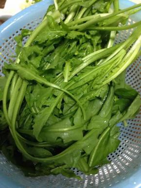 荠菜摘去黄叶洗净