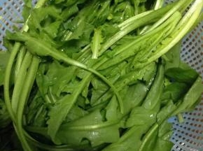 荠菜摘去黄叶洗净