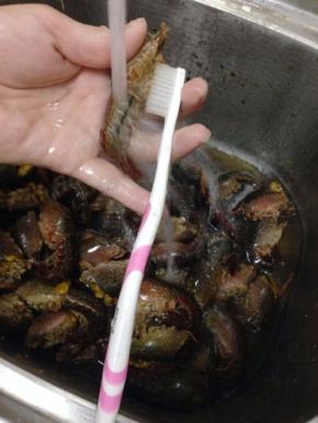 再用牙刷在水龙头下刷洗干净。