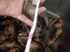 再用牙刷在水龙头下刷洗干净。