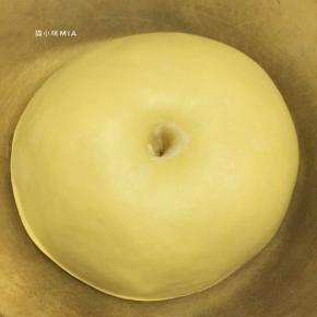 将黄色面团中除了黄油以外的所有材料混合，揉至扩展阶段，再加入黄油，继续揉至完全阶段，揉好的面团用保鲜膜盖好，温暖处进行基础发酵