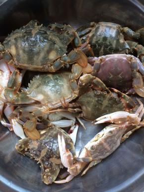将花盖蟹洗净，沥干水份。