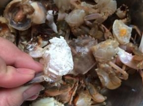 将蟹块均匀的蘸上一层薄薄的淀粉