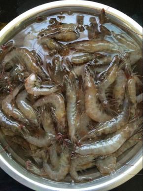 将虾清洗干净，控干水份