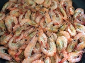 炒到虾变色后继续翻炒