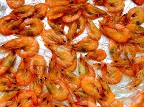 烤盘铺上锡纸，放入炒好的虾