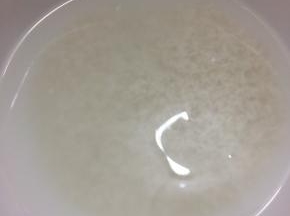 糯米用水洗干净，浸泡两个小时