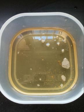 油脂晾凉后放入保鲜盒，放入冰箱保鲜就可以了。