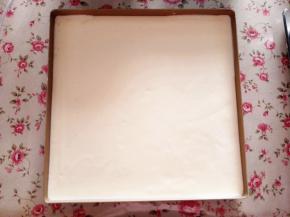 9.	将拌好的蛋糕糊倒入金烤盘中，如果不是不粘烤盘，则要垫油纸，轻震几下，震出大气泡，