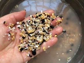 将食材除冰糖外清洗干净