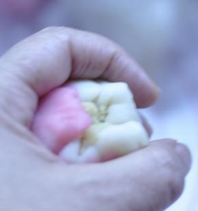 7、然后慢慢向上推动冰皮。