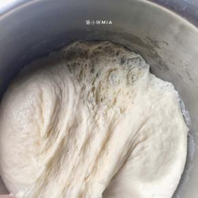 将中种材料混合成团，放在温暖处发酵至表面发平，粗糙，约3倍左右大小，用手把面团拨开，里面有清楚的蜂巢状态，以及有酒味