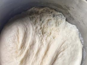 将中种材料混合成团，放在温暖处发酵至表面发平，粗糙，约3倍左右大小，用手把面团拨开，里面有清楚的蜂巢状态，以及有酒味