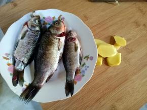 鲫鱼去麟去鳃和内脏，洗净备用，生姜切片