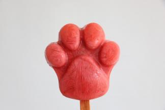 放入冰箱中冷冻5个小时即可。