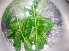 菠菜淖水。去掉叶酸。