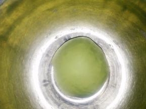 揉成光滑的面团。盖上保鲜膜或者湿布醒20分钟。