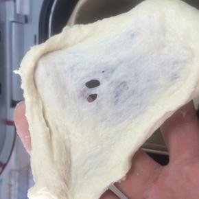 除黄油外揉至扩展阶段